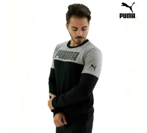 Мужская толстовка с начесом Puma серо-черная