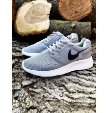 Кроссовки Nike DRS Kaishi