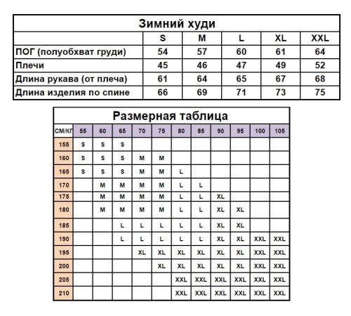 Зимний базовый однотонный худи с начесом черный RD001