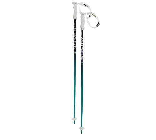 Палиці гірськолижні Volkl Phantastick Womens Ski Poles (16 mm) 110 Green-Purple (169819-110)