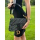 Жіноча сумка Dior 23*21*9 сіра