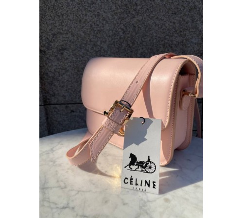 Сумка жіноча Celine Teen Triomphe Bag in Shiny Calfskin Pink Селін пудра DN063