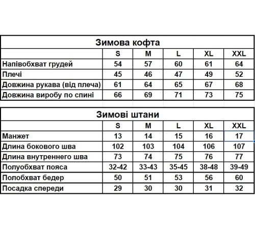 Зимовий спортивний костюм Герб з начосом чорна кофта на змійці + чорні штани RD263/RD006