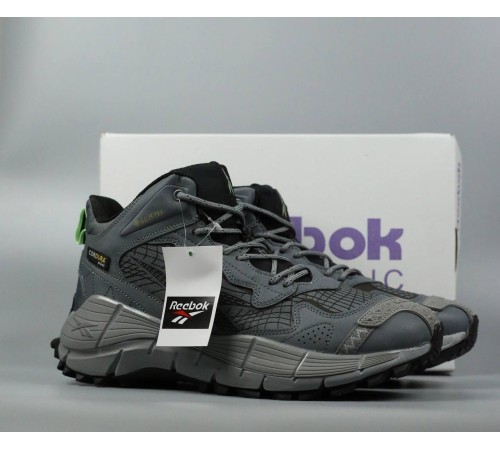 Чоловічі кросівки Reebok Zig Kinetica 2.5 Edge Gray Fur