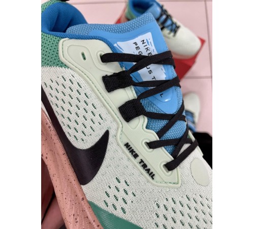 Кроссовки Nike Pegasus Trail (blue / green)