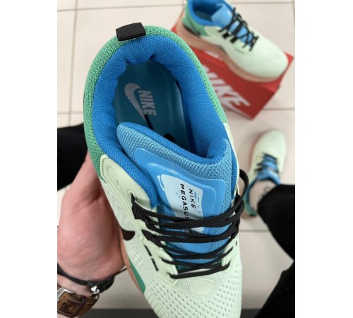 Кроссовки Nike Pegasus Trail (blue / green)