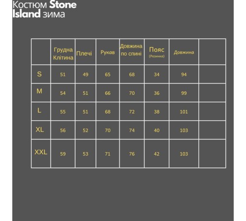 Спортивний костюм Stone Island зимовий чорний