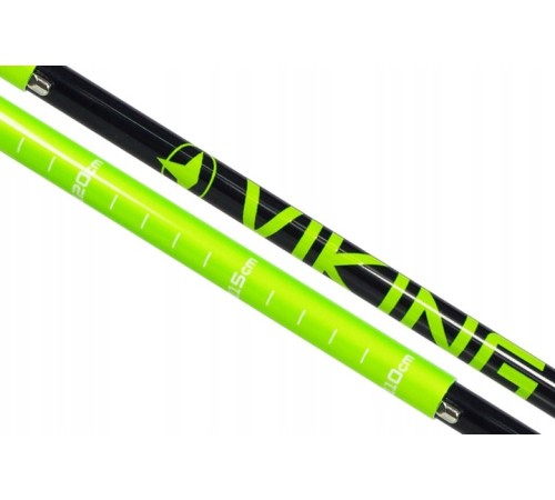 Палиці трекінгові Viking Terve Poles Alu 110-130 cм black/green (610/18/2523)