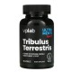 VPLab Tribulus Terrestris - 90 caps для поддержки тестостерона витамины