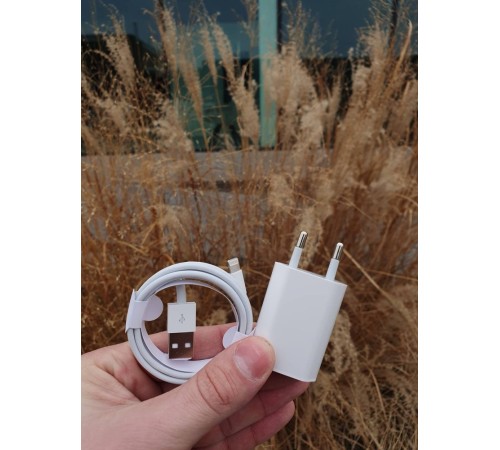 Мережевий зарядний пристрій Apple iPhone 5W USB + cabel USB to lightning original білий