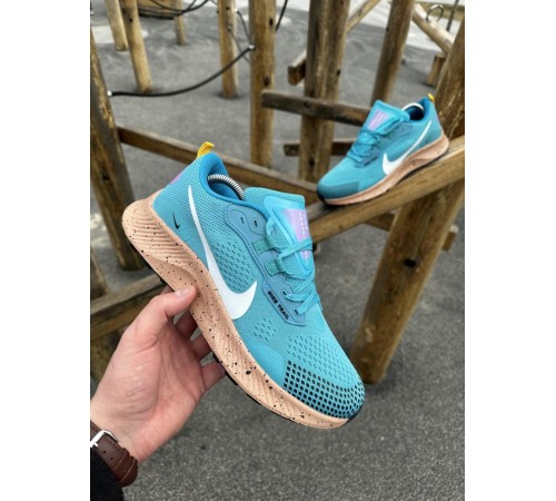 Кроссовки Nike Pegasus Trail (blue)