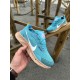 Кроссовки Nike Pegasus Trail (blue)