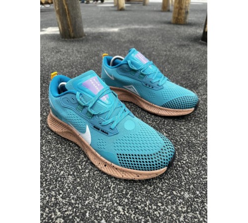 Кроссовки Nike Pegasus Trail (blue)