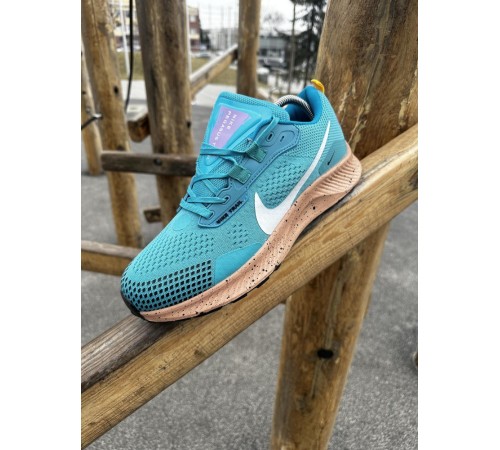 Кроссовки Nike Pegasus Trail (blue)