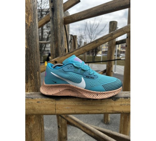 Кроссовки Nike Pegasus Trail (blue)