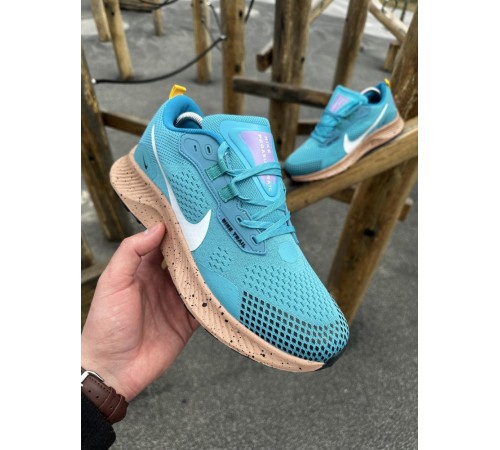 Кроссовки Nike Pegasus Trail (blue)