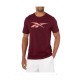 Футболка чоловіча Reebok RI Logo Tee Maroon (HR9029)