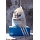 Чоловічі шльопанці Adidas Adilette 22 Milk