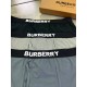 Набір нижньої білизни Burberry classic logo t142