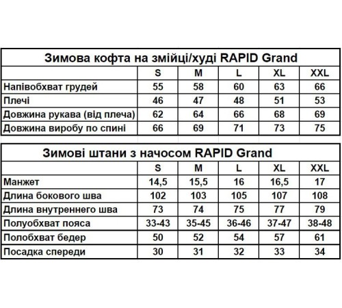 Зимовий спортивний костюм із начісом чорний кофта на змійці штани RD284/RD286