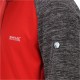 Кофта чоловіча флісова Regatta Coladane IV Fleece Dark Grey/Chilly Red (RMA515)