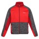 Кофта чоловіча флісова Regatta Coladane IV Fleece Dark Grey/Chilly Red (RMA515)