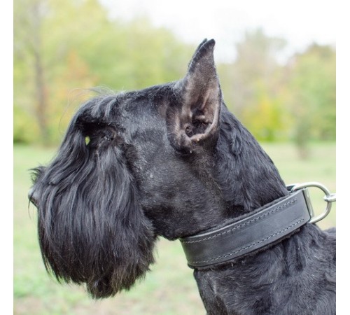 Ошейник с войлочной подкладкой "Lockdog" черный