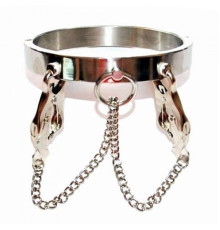 Unisex Luxury Stainless Steel Heavy Duty Collar with Japanese Clover Clamps