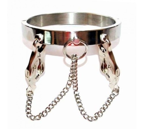 Unisex Luxury Stainless Steel Heavy Duty Collar with Japanese Clover Clamps