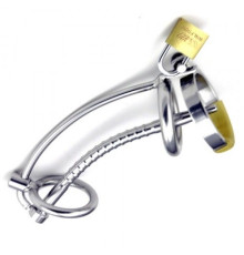 Asylum Locking Chastity Cage with a Removable Head Ring