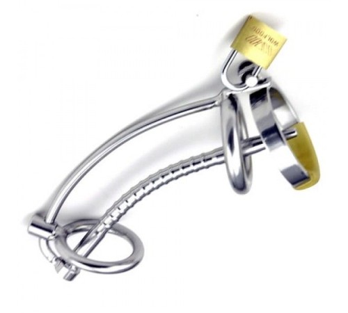 Asylum Locking Chastity Cage with a Removable Head Ring