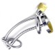 Asylum Locking Chastity Cage with a Removable Head Ring