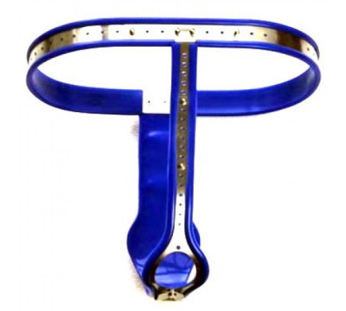 Female Adjustable Model-T Stainless Steel Premium Chastity Belt with Locking Cover Removable BLUE