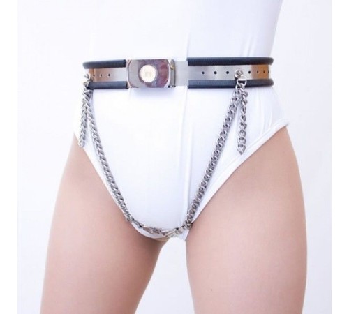 Model-Y Stainless Steel Female Covert Palms Chastity Belt