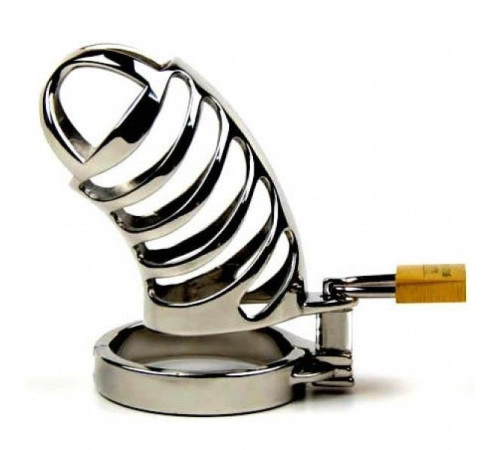 The Ribs Stainless Steel Chastity