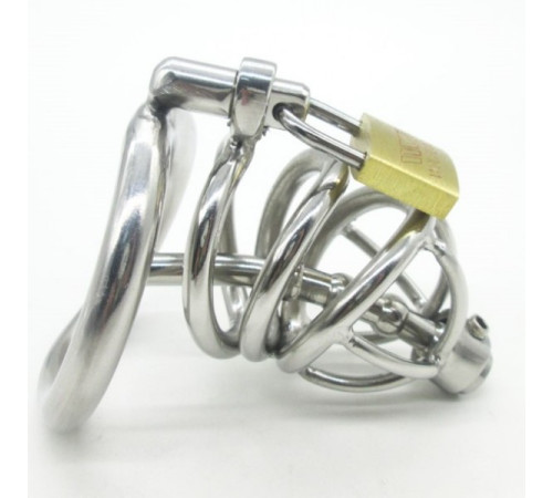 Stainless Steel Male Chastity device Cock Cage With Curve Cock Ring Urethral Catheter