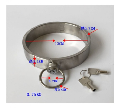 stainless steel new lock collar