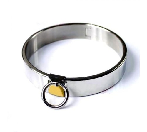 Female Luxury Stainless Steel Heavy Duty Collar with Brass Lock Joints