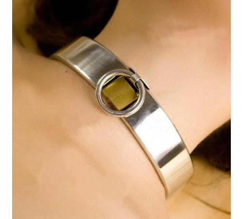 Female Luxury Stainless Steel Heavy Duty Collar with Brass Lock Joints