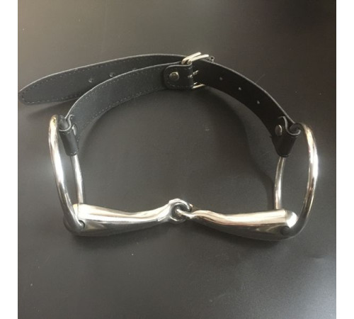 Stainless Steel Snaffle Gag