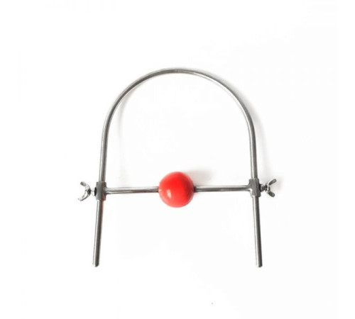 Stainless Steel Ring Silicone Ball Gags Red