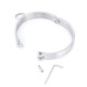 Stainless Steel New Style Male Collar