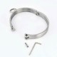 Stainless Steel New Style Females Collar