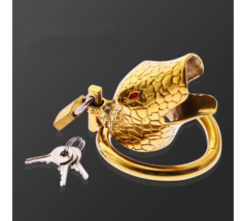 stainless steel golden ophicephalous chastity device