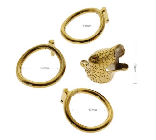 stainless steel golden ophicephalous chastity device