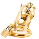 metal ox head chastity device golden