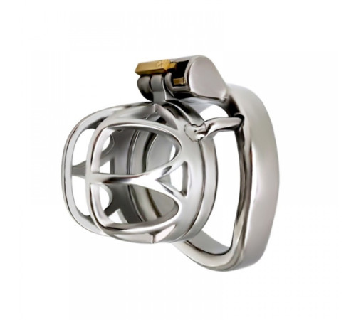 stainless steel chastity cage