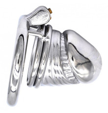 Stainless Steel Glans Shape Chastity Device