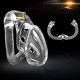 latest small model chastity device clear