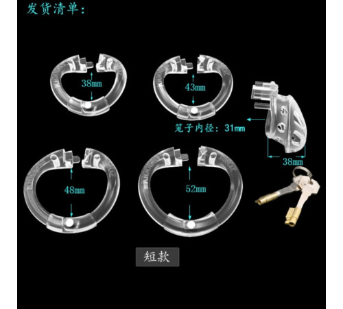 latest small model chastity device clear